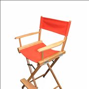Director's chair